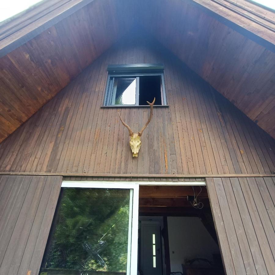 Chalet- Vallee De Luchon - Vallee De La Pique Cierp Ngoại thất bức ảnh